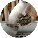 にこにこ profile picture